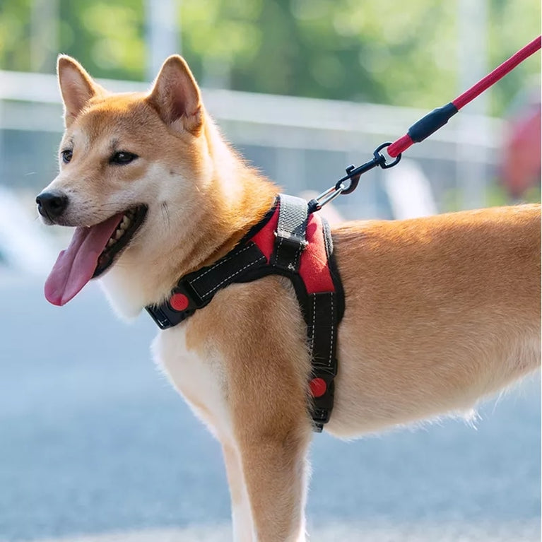 Verstellbares Hunde- und Katzengeschirr mit Leine, reflektierend und atmungsaktiv für kleine und große Hunde