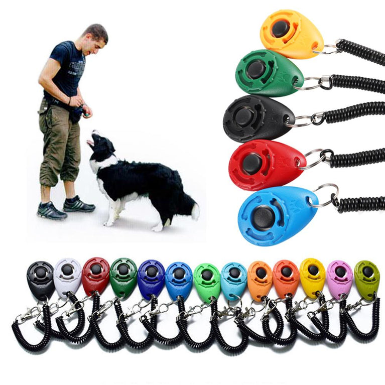 Hunde Click Training / Klicker