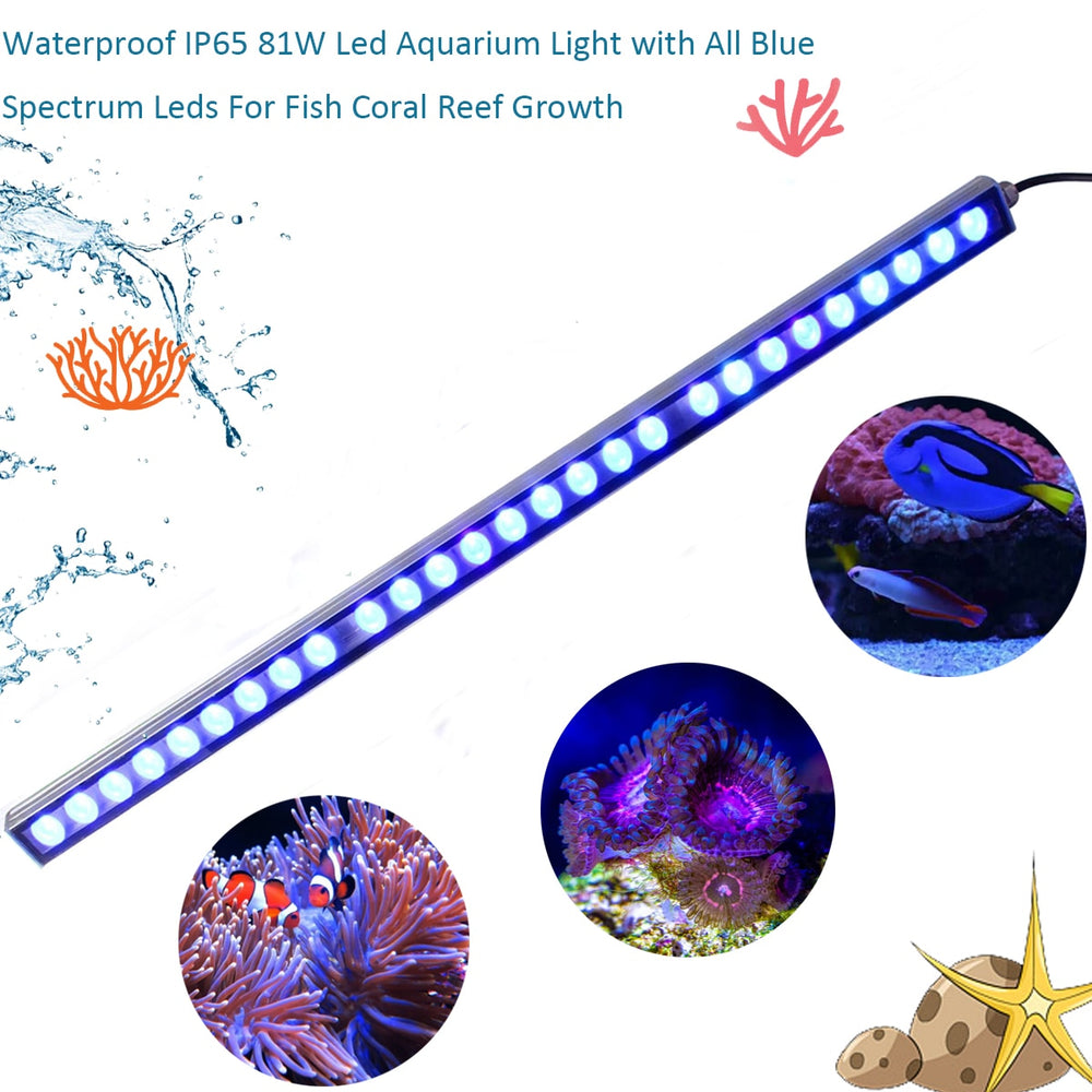 Populargrow 54W/81W/108W LED-Aquarium-Licht mit nur 470nm Blauspektrum-Streifenlicht Ihre Korallenriff-Aquarium-Lampe