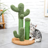 Cactus Katzen Kratzbaum