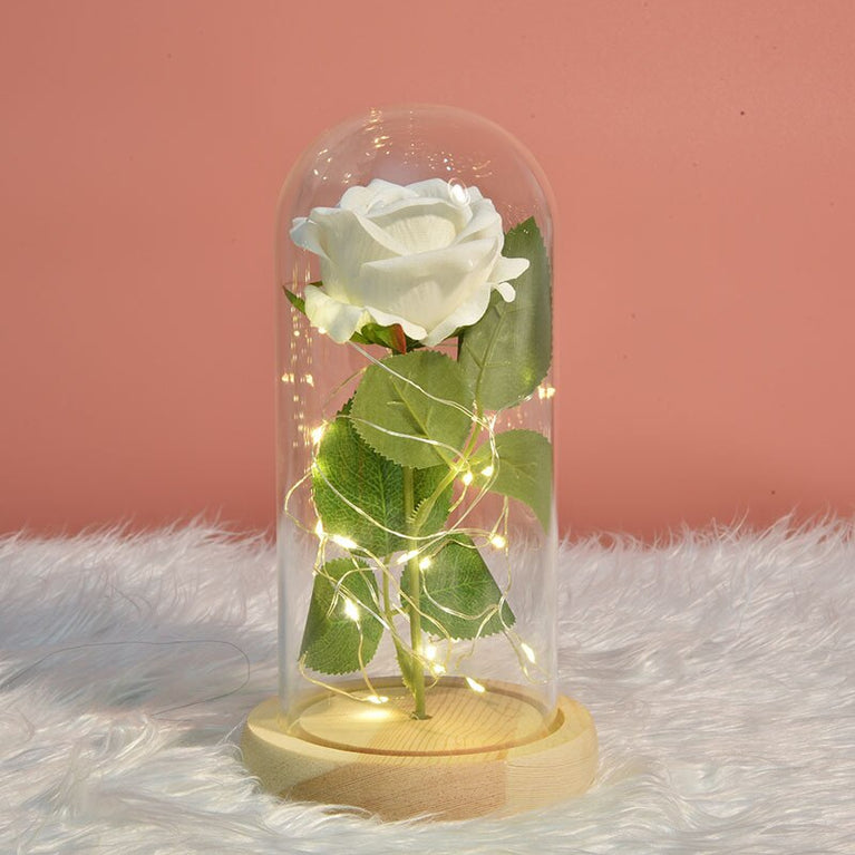 Beauty and Beast Romantic Eternal Flower Licht mit Abdeckung