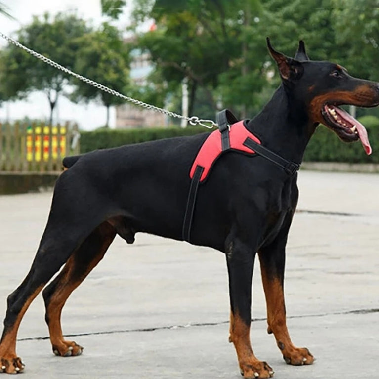 Verstellbares Hunde- und Katzengeschirr mit Leine, reflektierend und atmungsaktiv für kleine und große Hunde