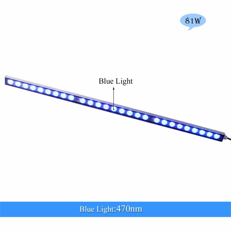 Populargrow 54W/81W/108W LED-Aquarium-Licht mit nur 470nm Blauspektrum-Streifenlicht Ihre Korallenriff-Aquarium-Lampe