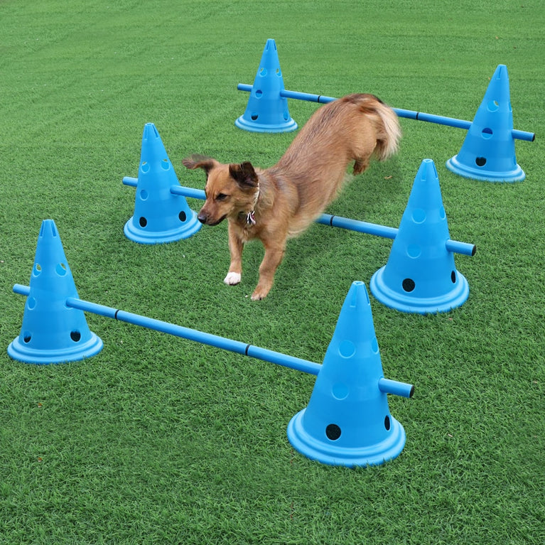 Hundeparkour, tragbar. Ideal für Agility Training