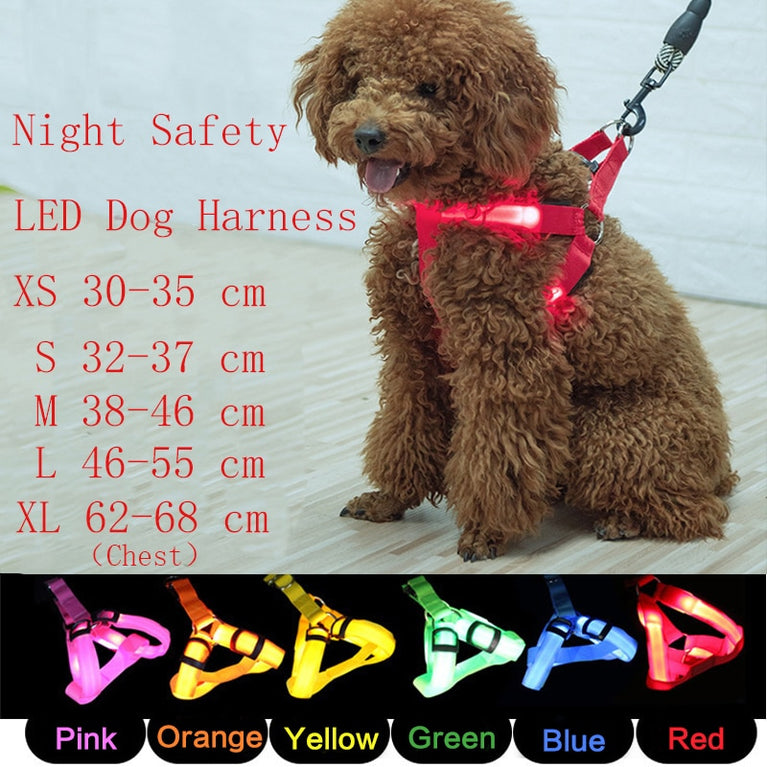 Nylon Pet Safety Harness Blinklicht Hundegeschirr LED H