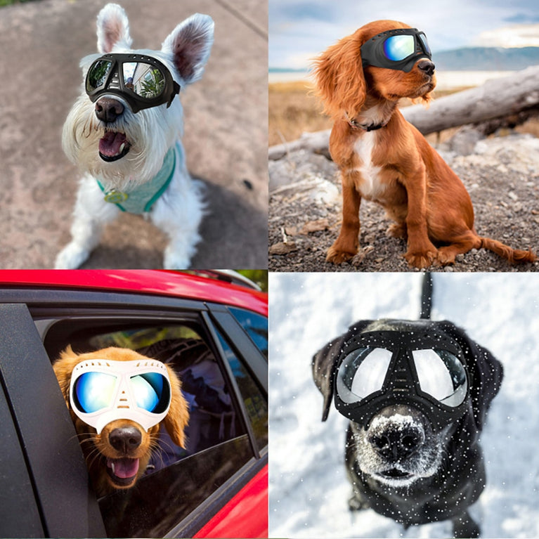 Coole Hunde-Sonnenbrille