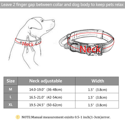 Hundehalsband für Gehtraining