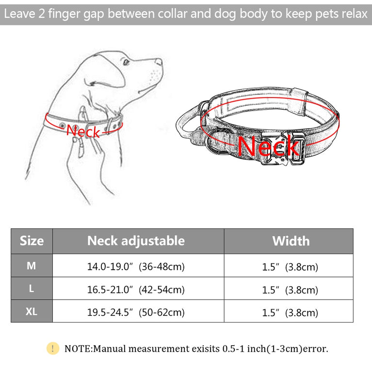 Hundehalsband für Gehtraining