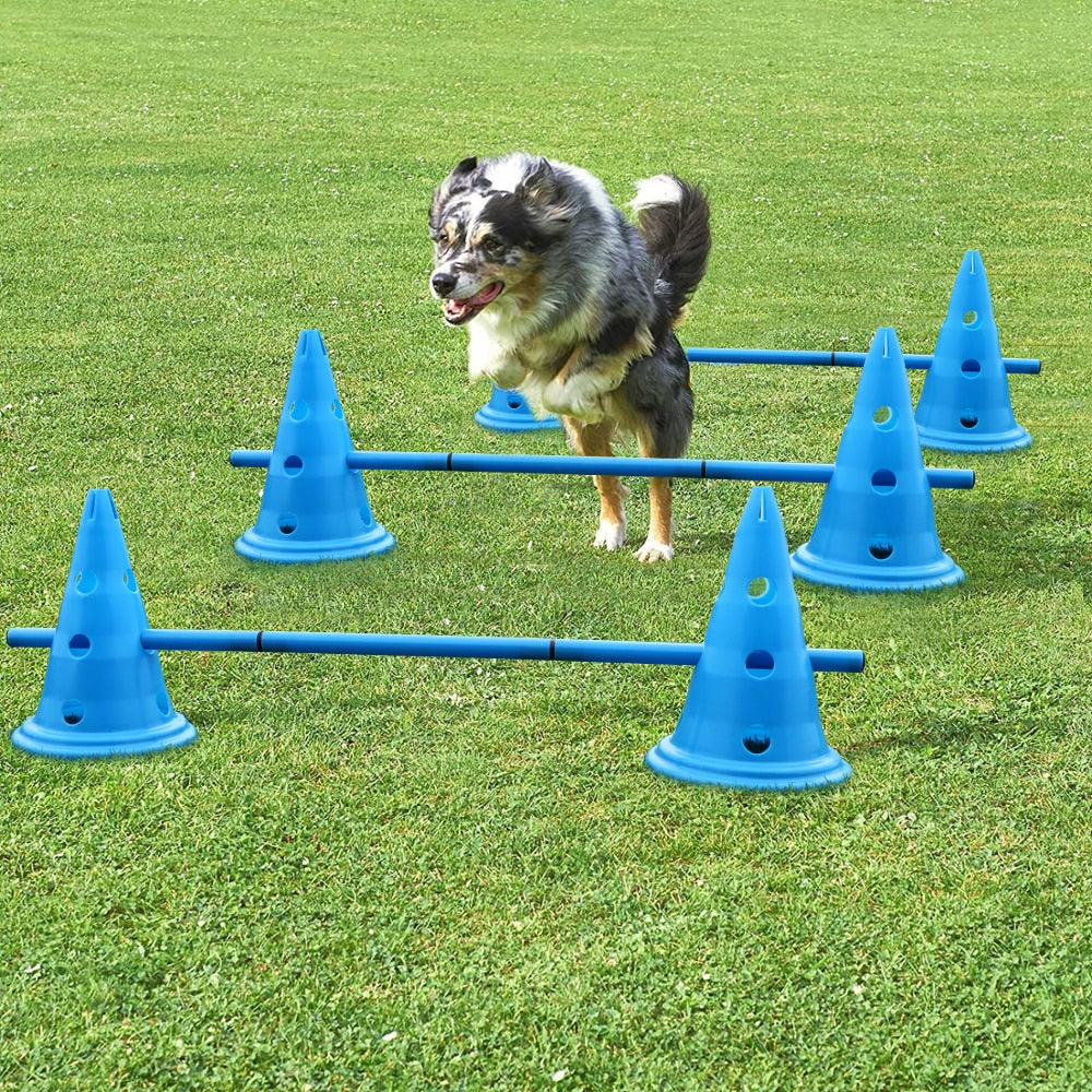 Hundeparkour, tragbar. Ideal für Agility Training