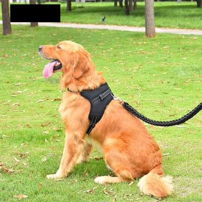 Verstellbares Hunde- und Katzengeschirr mit Leine, reflektierend und atmungsaktiv für kleine und große Hunde
