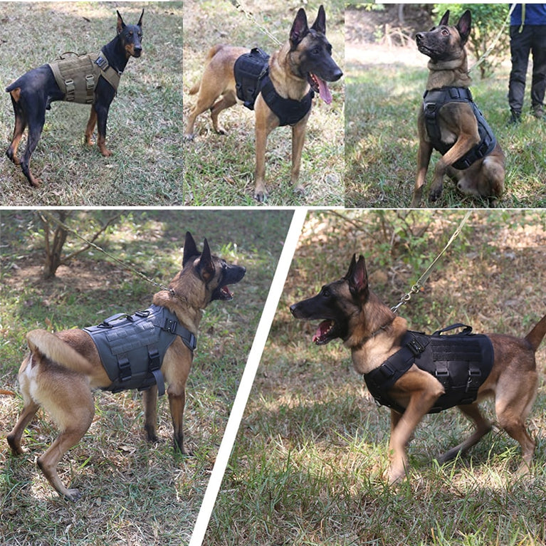 K9 Tactical Military Tactical Training Hundegeschirr und Leine für alle Hunderassen