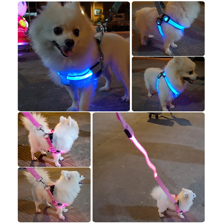 Nylon Pet Safety Harness Blinklicht Hundegeschirr LED H