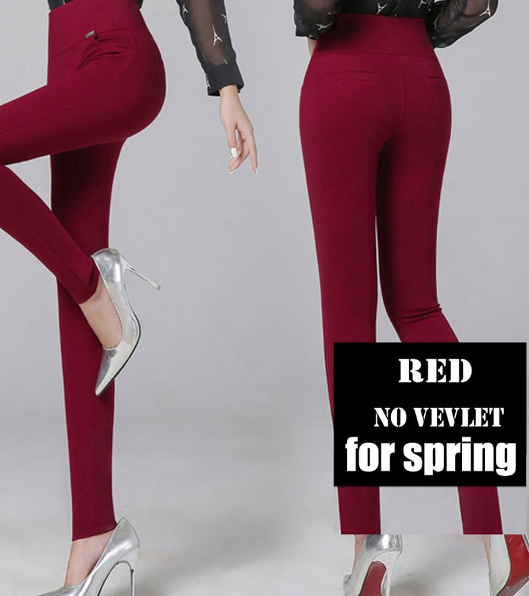 Samt Leggings für Damen