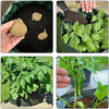 12 Gallonen DIY Kartoffelpflanzer Pflanzbehälter Tasche Gemüsegarten Jardineria verdicken Gartentopf Pflanzbeutel