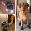 4 Teiliges Hundeschuhe Set