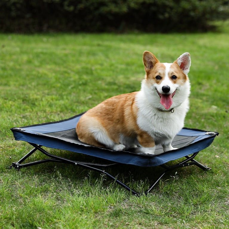 Erhöhtes Hundebett für den Außenbereich