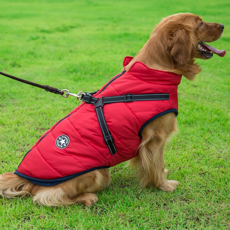 Große Haustier-Hundejacke mit Geschirr