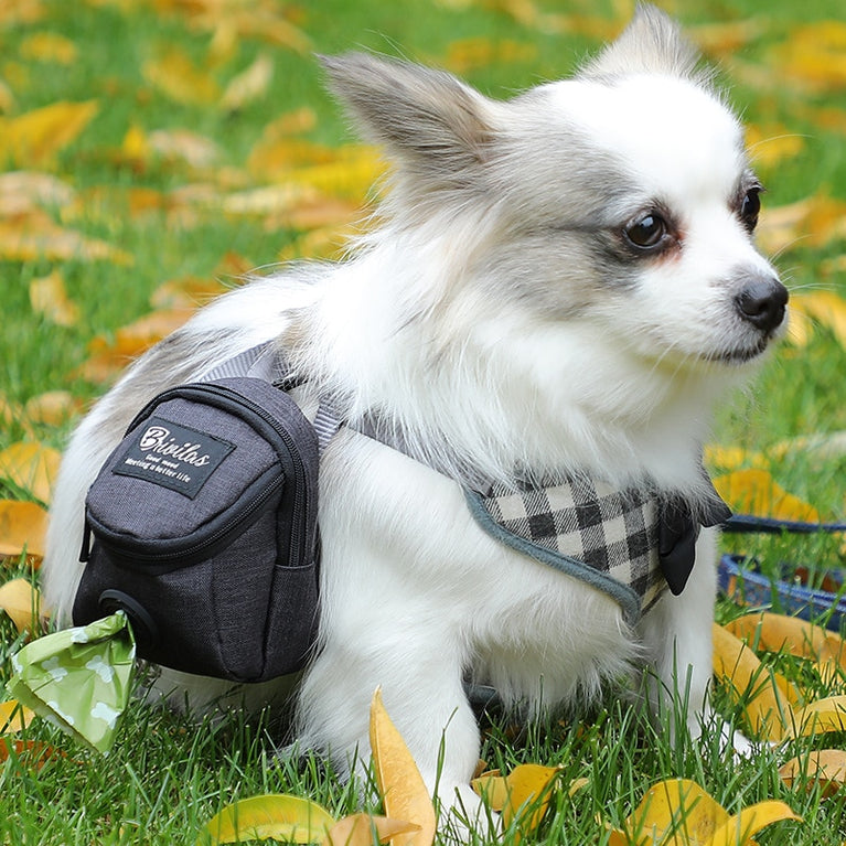 Leckerli-Tasche für Hunde mit Hundekotbeutel-Spender